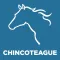 Chincoteague Island VA