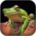 Atlas: Reptiles of World
