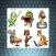 Animal Chores