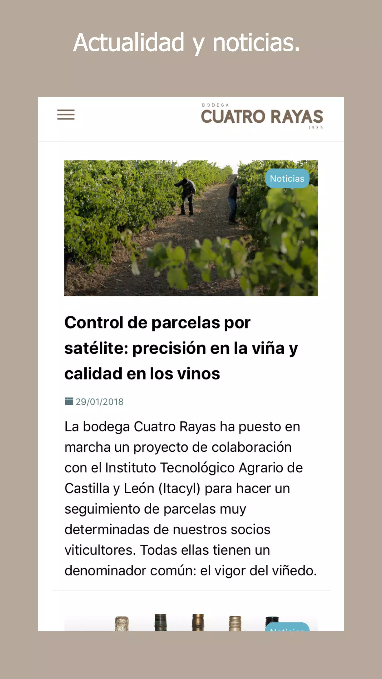 Cuatro Rayas Screenshots