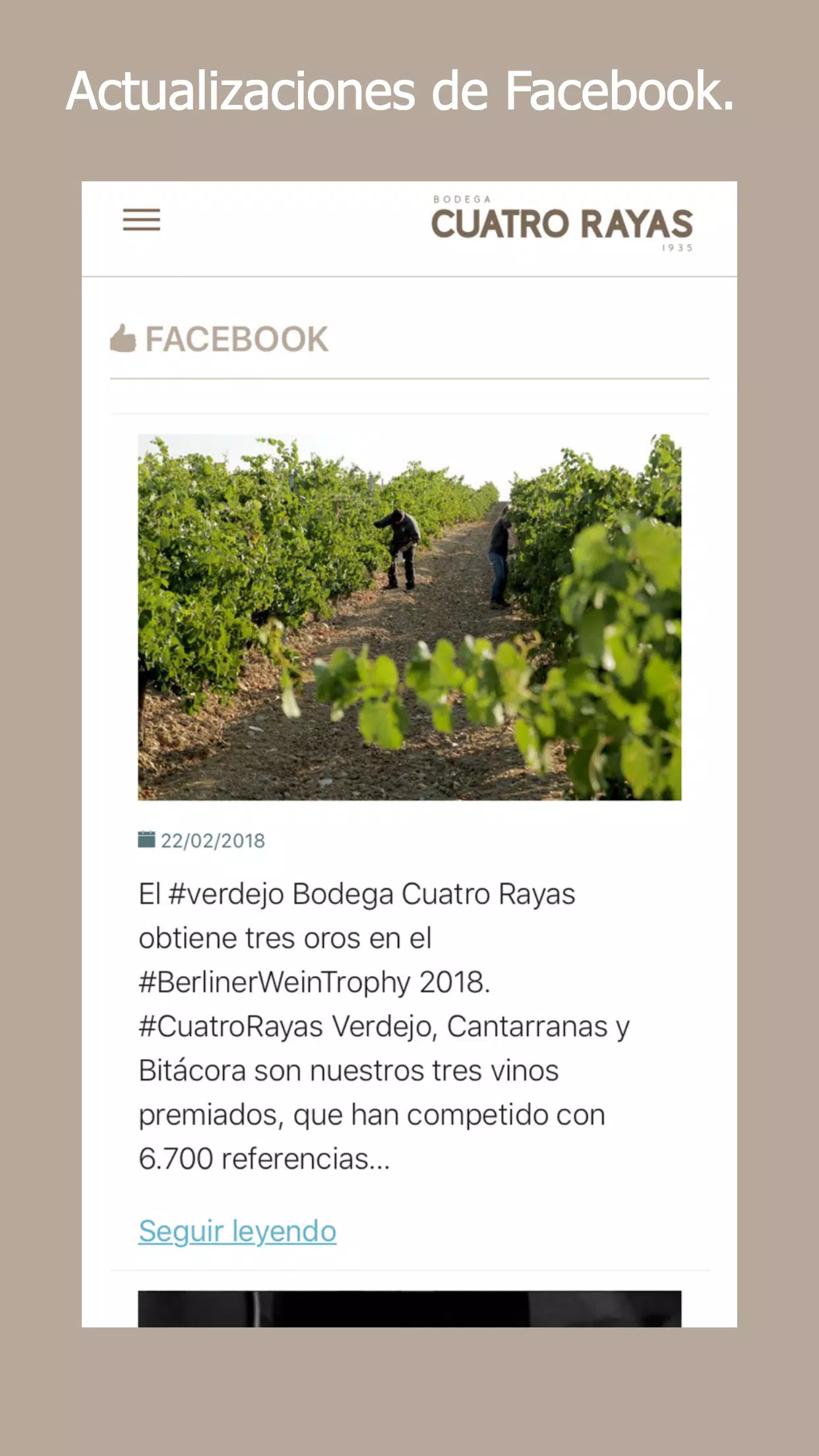 Cuatro Rayas Screenshots