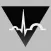 VitalSign Holter
