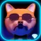 Agent DOGE Diamond Ed.