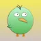 Fattest bird