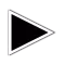 Asteroids