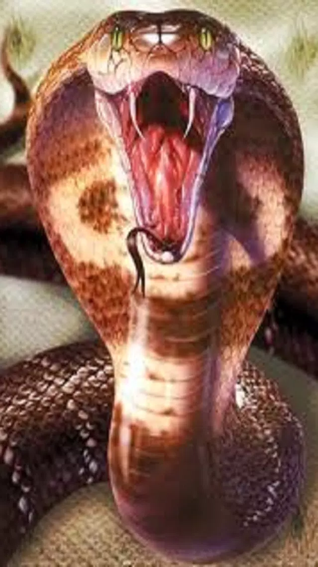 Snake Scare Prank - Prank girls with scary snake Screenshots