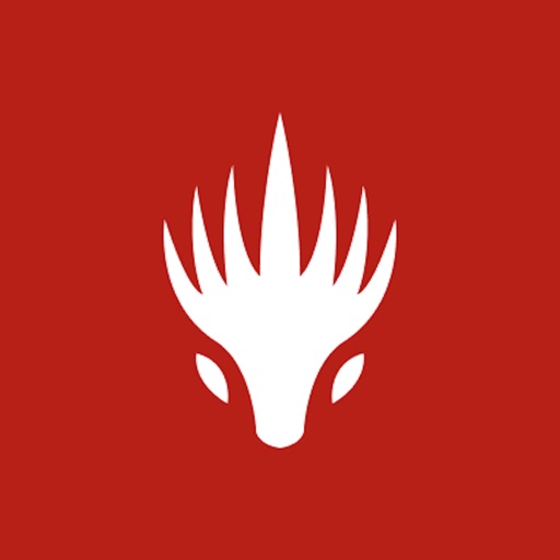 Dragonfire Chronicles