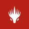 Dragonfire Chronicles
