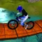 Downhill Bicycle Offroad Race