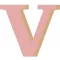 Volunteen Student