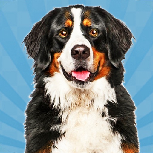 Dog Simulator-Pet Animal Life Dog Simulator-Pet Animal Life