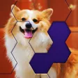 Hex Block Jigsaw Puzzle Hex Block Jigsaw Puzzle
