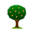 Mango Tree
