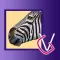 Africa. Wild animals.