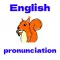 English pronunciation teacher