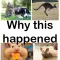 Why This Happened