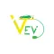 Vraj Electrons