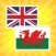 English Welsh Translator and Dictionary