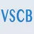 VS CODE BLUE