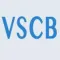 VS CODE BLUE