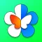 AR Butterflies and Flower Lite