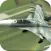 Jet Sky War VR