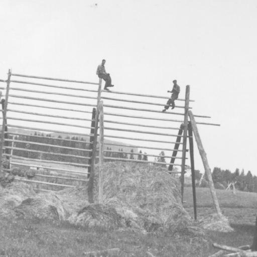 Havsnäs