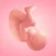 Pregnancy and Due Date Tracker