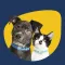 Waldo Pet Tracker