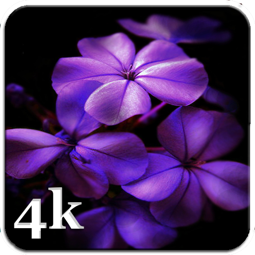 Aesthetic Purple Wallpapers 4K