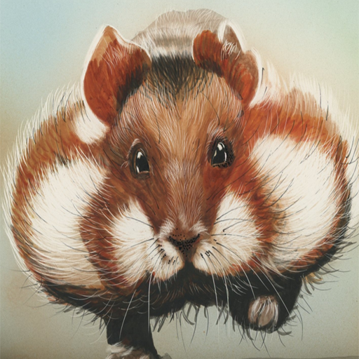 Cute Hamster Wallpaper 4K Cute Hamster Wallpaper 4K