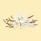 Vanilla Wallpapers Backgrounds HD for cool screen