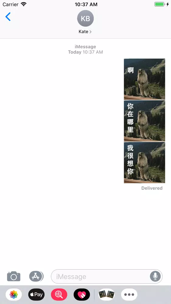 土拨鼠表情包 Screenshots