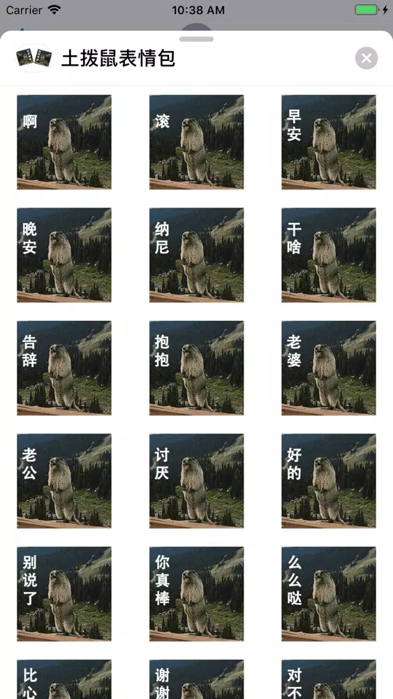 土拨鼠表情包 Screenshots
