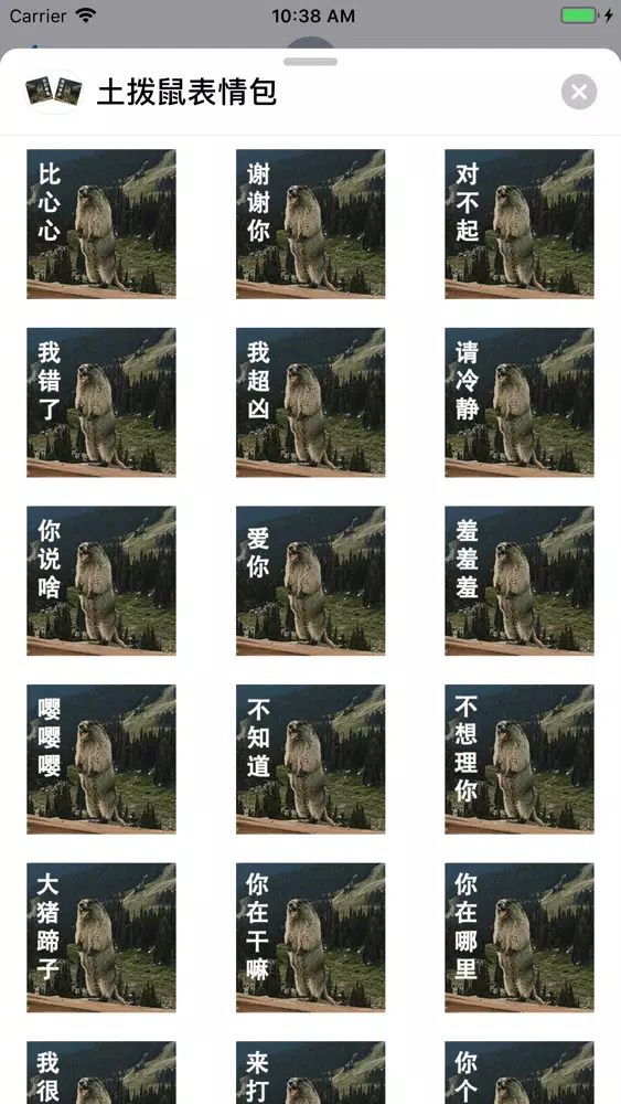 土拨鼠表情包 Screenshots