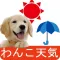 わんこ天気〜天気予報&可愛い犬の写真〜