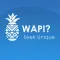 WAPI? Kenya