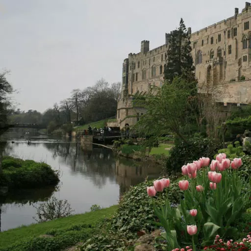 Warwick Warwick