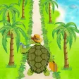 Cayman Traveler