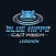 Blue Hippo Express Car Wash