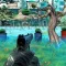 Gun Shooting Fruit Expert