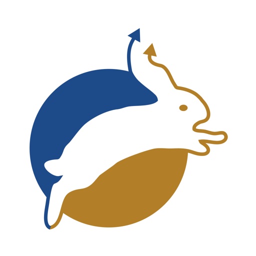 Rabbit - by Patel Wealth Rabbit - by Patel Wealth