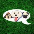 I Love Dogs!