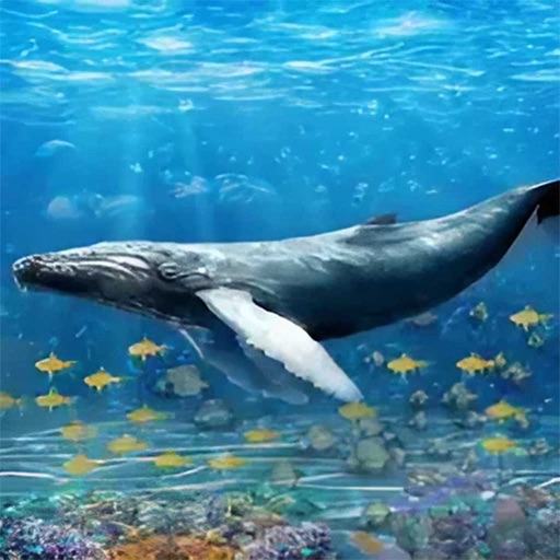 Blue Whale Survival Challenge Blue Whale Survival Challenge