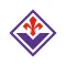 Fiorentina Sport Solutions