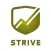 Strive Performance
