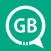 GBWhat plus +