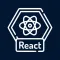 Remote ReactJS Dev Jobs