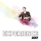 Experience 2017