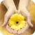 Dr. Bach Flower Remedies
